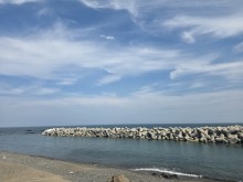 울산쏘닉